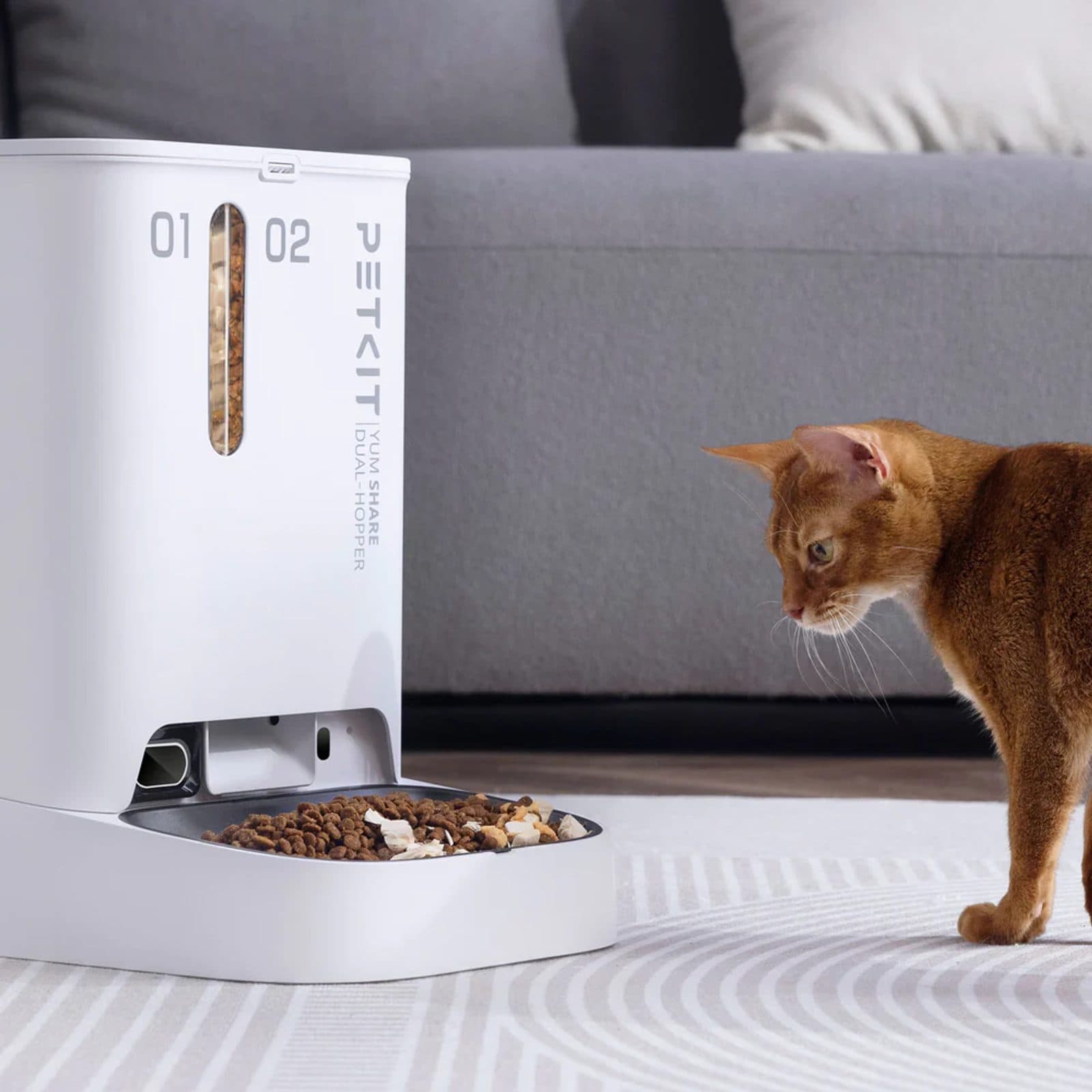 Dual-hopper dispenser voor katten en kleine honden met camera, 5 l view 7