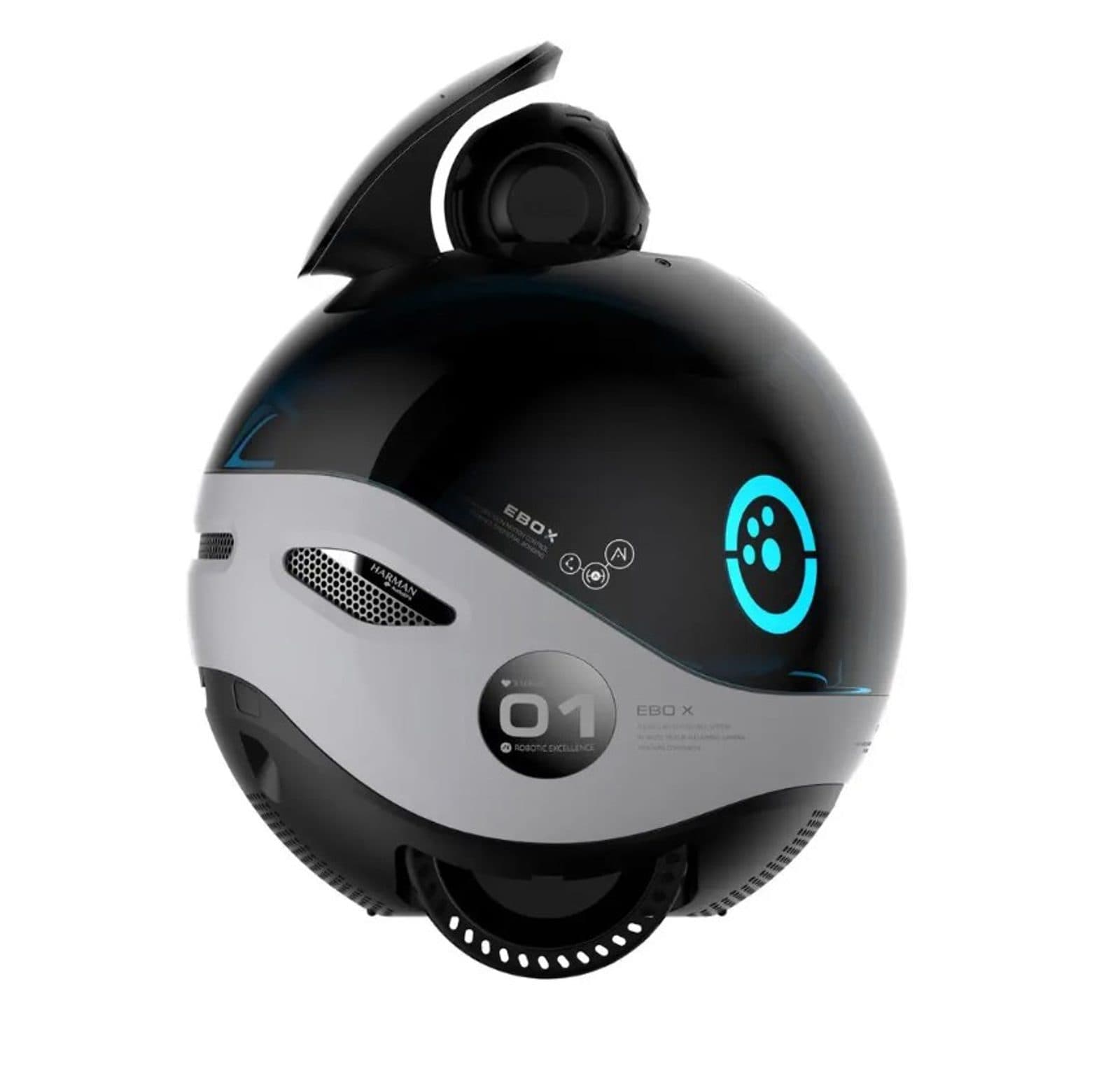 Enabot EBO X Moving camera for pets view 2