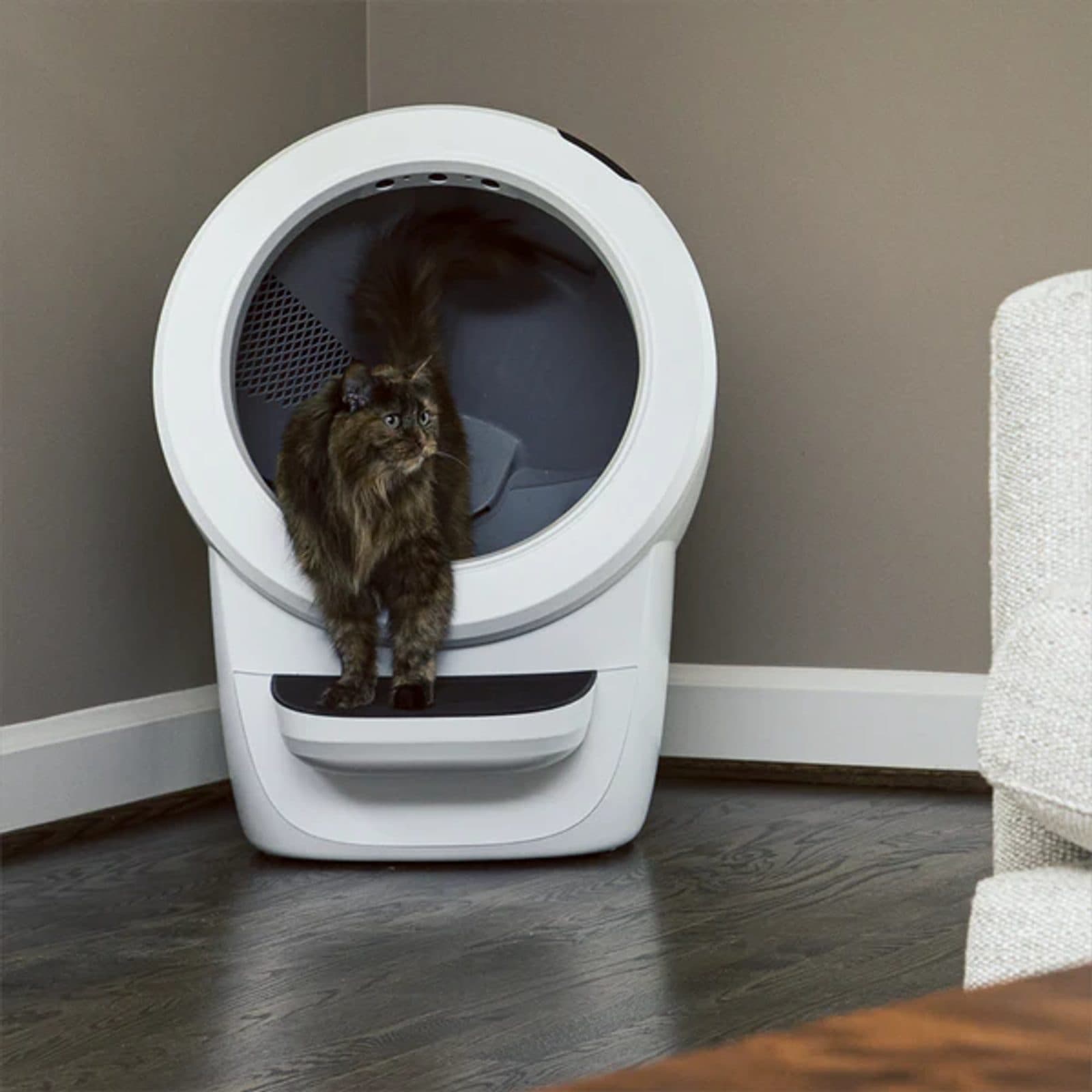 Litter-Robot 4 Automatische zelfreinigende kattenbak - Whisker view 4