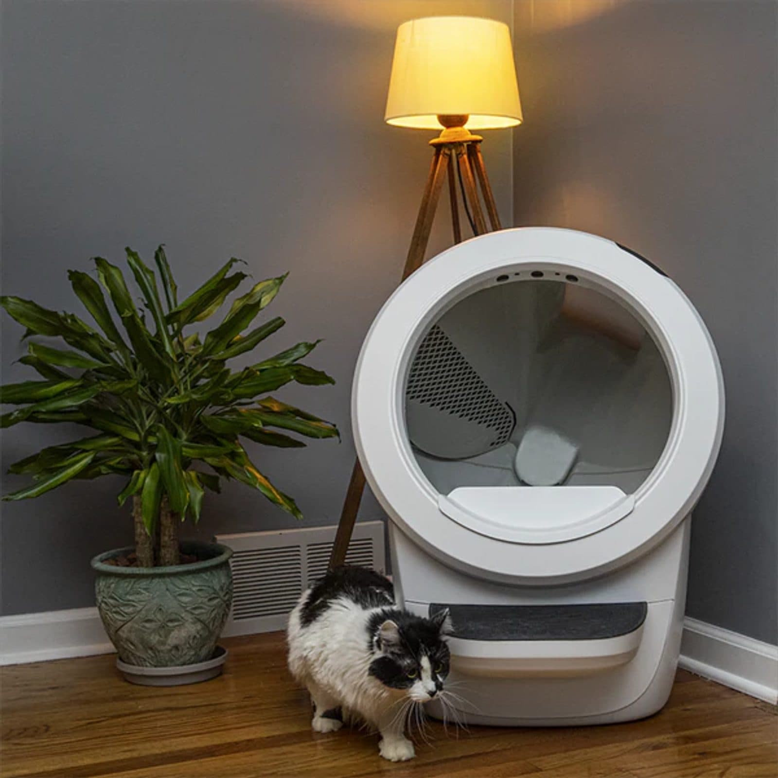 Litter-Robot 4 Automatische zelfreinigende kattenbak - Whisker view 5