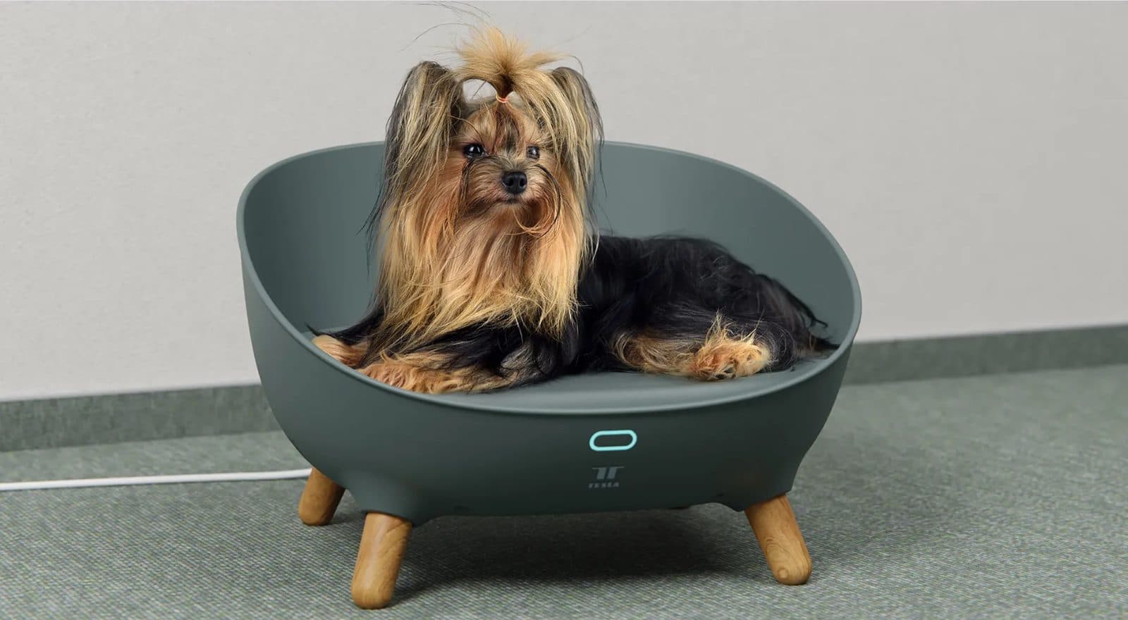 Petoneer Cozy Sofa
 | Heated bed view 6