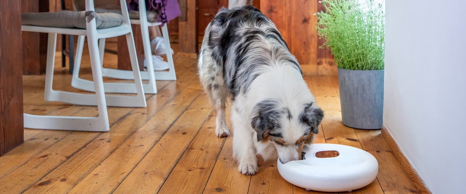 Petoneer NutriSpin
 | Slimme automatische voerbak view 7
